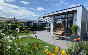 Luxus Cube Ferienhaus Chalet Am See Mit Schwimmbad In Lathum Nl